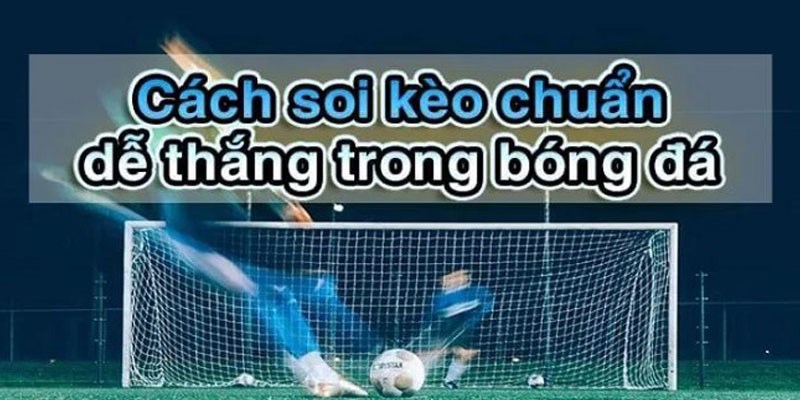 Một số loại hình bắt kèo cơ bản nhất 2024